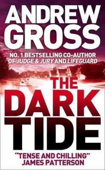 Dark Tide - Andrew Gross 9780007242474, Verzenden, Gelezen, Andrew Gross