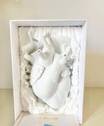 Seletti - Marcantonio - Vaas - Liefde in bloei Bianco Nuovo, Antiek en Kunst