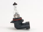 Lamp 9006/HB4 12V 55W, Ophalen of Verzenden, Nieuw