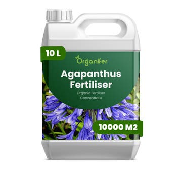 Agapanthus Vloeibare Meststof - 10 Liter, Verzenden, Mest