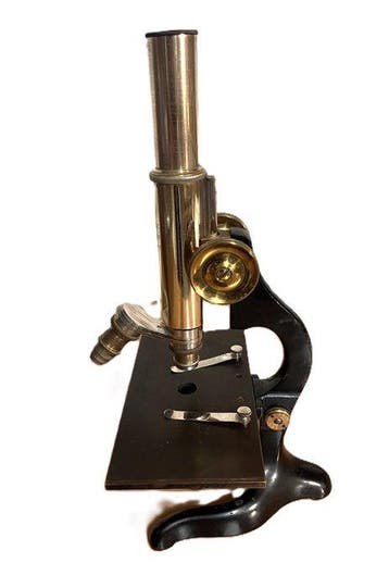 Monocular compound microscope - 105487 - 1900-1910 -, Antiek en Kunst