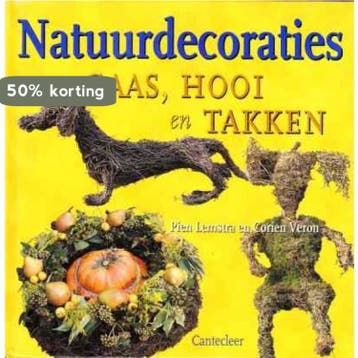 NATUURDECORATIES MET GAAS HOOI TAKKEN - P. Lemstra, Verzenden, Zo goed als nieuw, P. Lemstra
