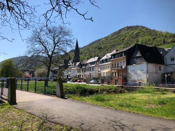 vakantie huis duistland moezel, Groepsaccommodatie, Dorp, Overige typen, Afwasmachine