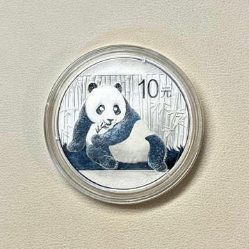 China, Volksrepubliek 10 Yuan 2015, Panda, 1 Oz (Zonder