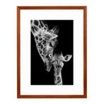 Wissellijst 40x60 cm Kersen, Ophalen of Verzenden, Nieuw