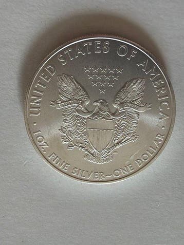 Verenigde Staten. 1 Dollar 2009 - American Eagle - 1 oz