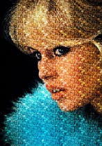 Una donna come me - Brigitte Bardot, Nieuw