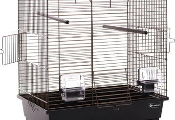 Vogelkooi Flamingo Numfor 1 Brons/Zwart – Parkietenkooi 5., Verzenden, Nieuw, Metaal, Vogelkooi