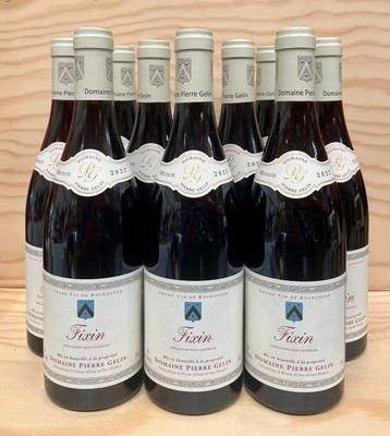 2022 Domaine Pierre Gélin - Fixin - 10 Flessen (0.75 liter), Nieuw