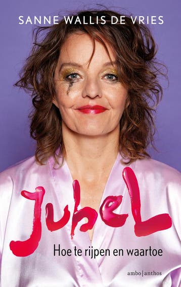 JubeL - Sanne Wallis de Vries 9789026357480, Verzenden, Gelezen, Sanne Wallis de Vries