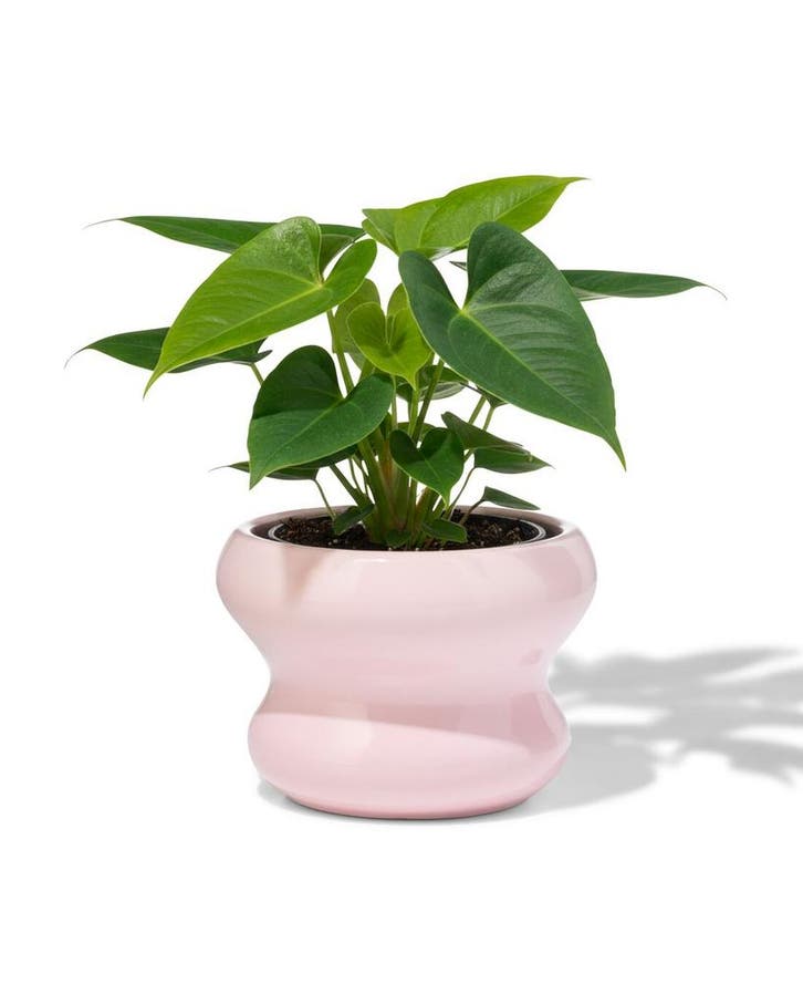 HEMA Bloempot 13x9cm keramiek blob spikkel roze, Huis en Inrichting, Kamerplanten, Verzenden