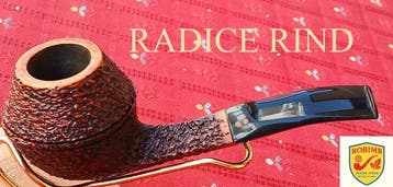 RADICE RIND ANNO 2000 - Pijp - Bruyere, Nieuw