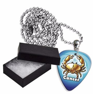 Kreeft plectrum ketting, sleutelhanger of oorbellen, Ophalen of Verzenden, Nieuw