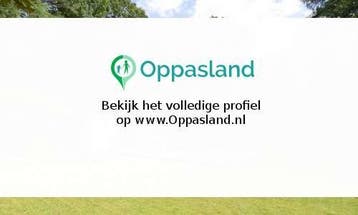Joost zoekt een oppas in Epse op maandag, dinsdag, woensd...