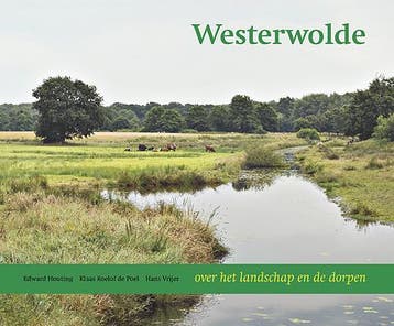 Westerwolde - Klaas Roelof de Poel 9789033009310, Verzenden, Gelezen, Klaas Roelof de Poel