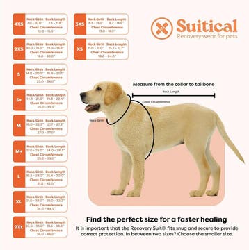 Suitical Recovery Suit Hond, S, Blauw Camouflage (Honden), Verzenden, Nieuw