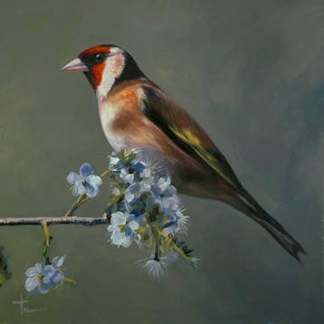 Luis Enrique González (XX) - Flor de Abril