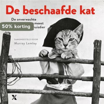 De beschaafde kat - Murray Lemley 9789401606400, Boeken, Verzenden, Gelezen, Murray Lemley