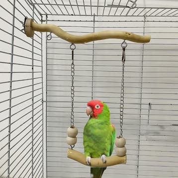 Houten Vogel Speeltuin met Schommel en Zitstok - Verrijking