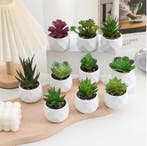 Mini Kunst Succulent Bonsai – Decoratieve Vetplant, Verzenden, Nieuw