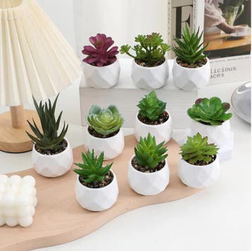 Mini Kunst Succulent Bonsai – Decoratieve Vetplant, Verzenden, Nieuw