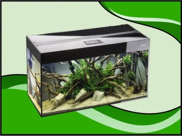 Aquael Glossy 120 zwart aquarium (Glossy aquarium serie), Verzenden, Nieuw