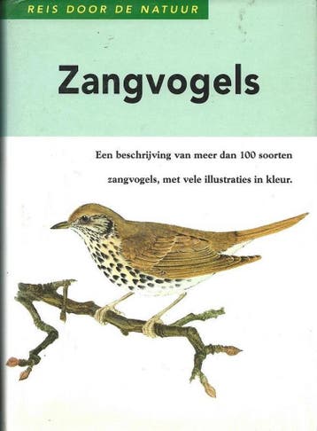 Zangvogels - KOLEKTIV 9789039600801, Boeken, Verzenden, Gelezen, KOLEKTIV