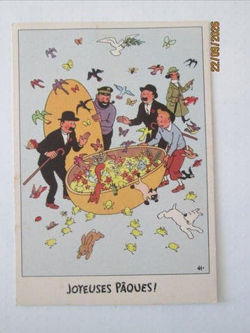 België - Ansichtkaart (1) - 1950-1960, Boeken, Nieuw
