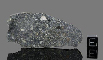 Allende meteoriet Plak - 19.2 g - (1)