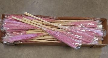 Dried Pampas Fluffy Hot Pink 70 cm, Ophalen of Verzenden, Nieuw