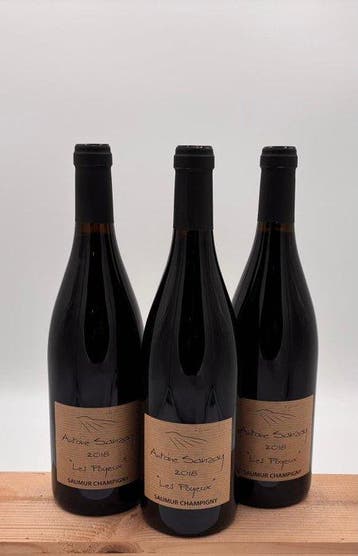 2018 Antoine Sanzay Les Poyeux - Saumur-Champigny - 3, Nieuw