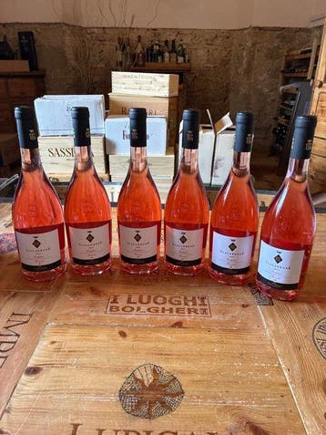 2025 Antinori, Guado al Tasso Scalabrone - Bolgheri - 6, Nieuw