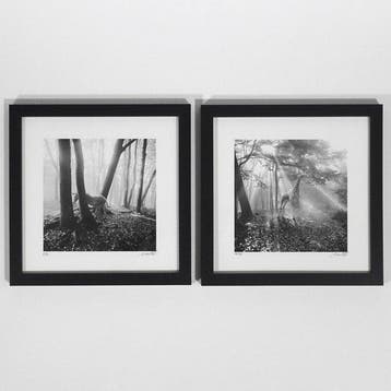 Frank Machalowski - Two framed photographs from the series