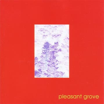cd - Pleasant Grove - Pleasant Grove, Verzenden, Zo goed als nieuw