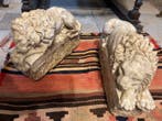 Sculptuuur voor buiten, Leone dormiente e vegliante copie