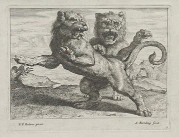 Abraham Blooteling (1640–1690) - Pieter Paul Rubens