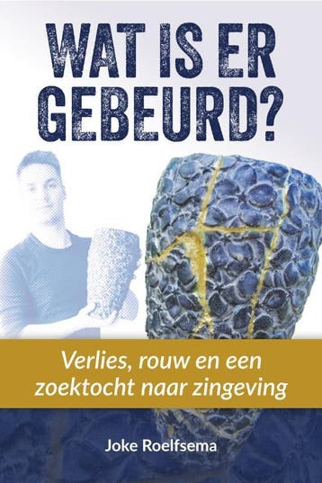Wat Is Er Gebeurd? | Joke Roelfsema | Nieuw, Ophalen of Verzenden, Nieuw, Joke Roelfsema