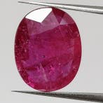 Rood Robijn - 5.04 ct - Instituto Gemólogico Español (IGE) -, Nieuw