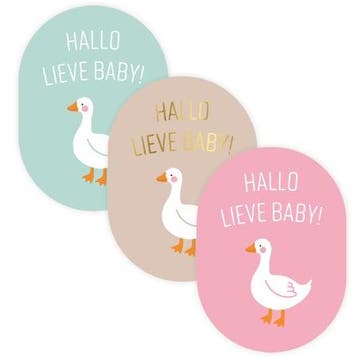 12x Sticker   Hallo lieve Baby (Stickers), Ophalen of Verzenden, Nieuw, Meerdere stickers