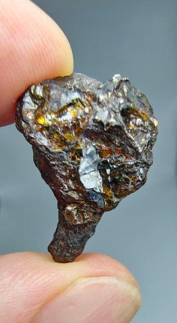 Pallasite meteoriet, NWA 16774. Geen reserveprijs. - 7.31 g