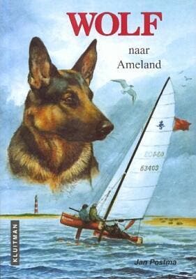 Wolf naar Ameland / Wolf 9789020634181 Jan Postma, Verzenden, Zo goed als nieuw, Jan Postma