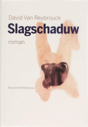 Slagschaduw - D. Van Reybrouck 9789085420859, Verzenden, Zo goed als nieuw, D. Van Reybrouck