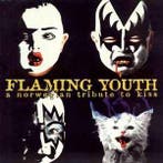 cd - Various - Flaming Youth (A Norwegian Tribute To Kiss), Cd's en Dvd's, Verzenden, Zo goed als nieuw