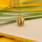 Gouden hanger van een kroon (Hanger of bedel), Sieraden, Tassen en Uiterlijk, Bedels, Ophalen of Verzenden, Gebruikt, Goud, Overige merken