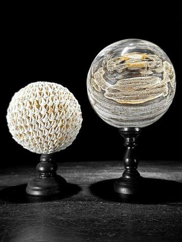 Decoratief ornament - NO RESERVE PRICE - Stunning pair of