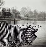Joachim Gomis - Hyde Park, 1950