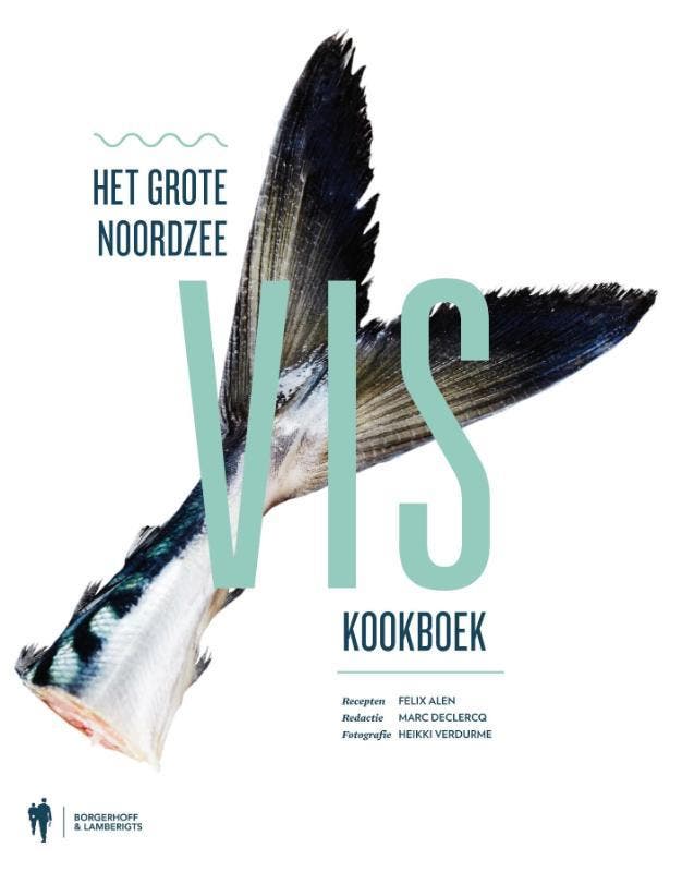 Het grote Noordzeeviskookboek 9789089314567 Felix Alen, Boeken, Kookboeken, Zo goed als nieuw, Verzenden