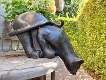 Beeldje - Curious cat - Hars