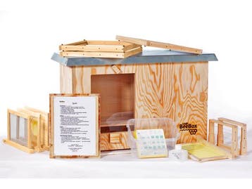 Veiling - Easy BeeBox bijenkast 75x30x50cm