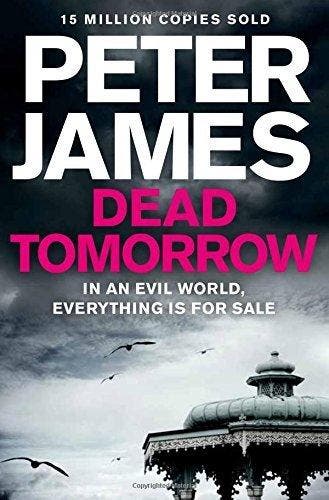 Dead Tomorrow - Peter James 9780330456777, Verzenden, Gelezen, Peter James